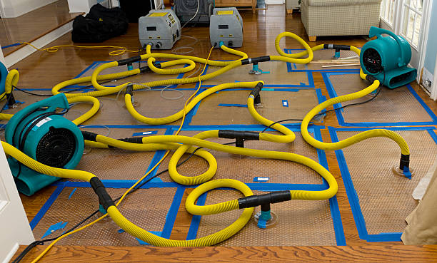 Professional Basement Flood Cleanup technician working in Pettisville, OH